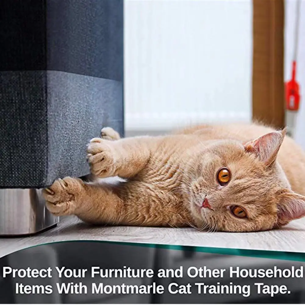 Cat Anti-Scratch Training Tape Clear Multi-Purpose Soft-Touch Furniture Safe Formula, Anti Door Paw Pounding training tape