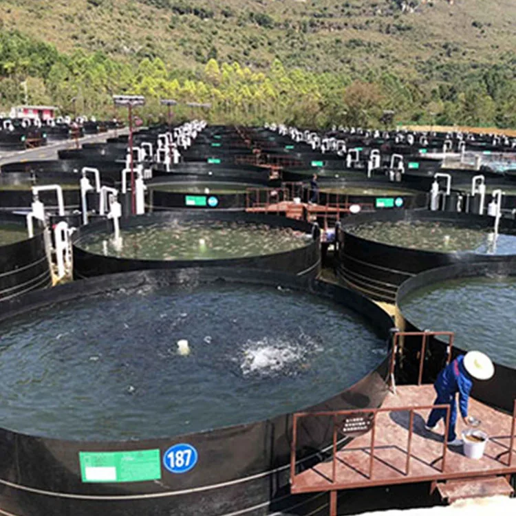 Recirculation Aquaculture System Another Aquaculture Equipment Fish Farming Equipments