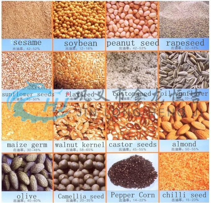 Automatic peanut machine to make edible oil/peanut oil press machine/coconut oil extraction machine