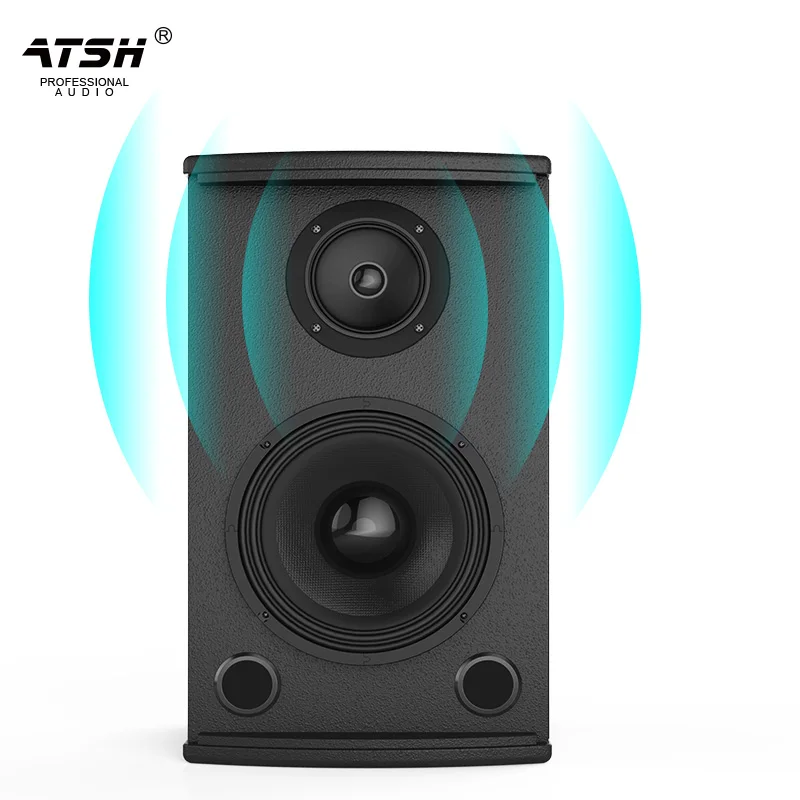 Factory wholesale 5.1 home theater main audio 10 inch karaoke wooden professional shadow K speaker direct sales 200W