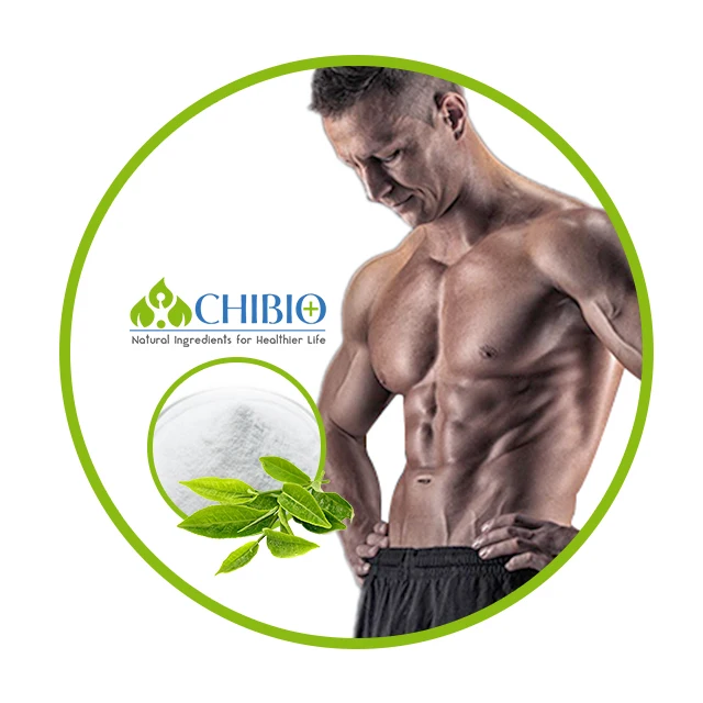 Пищевой порошок теакрина 99%, поставка от производителя для бодибилдинга