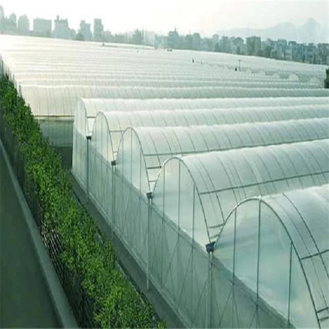 
Agriculture greenhouse plastic film tunnel greenhouse film 