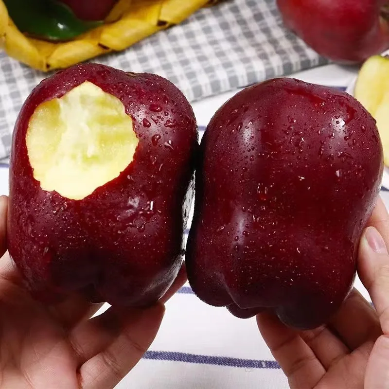 Натуральное высококачественное сладкое яблоко Fuji зеленое и красное свежее вкусное посаженное