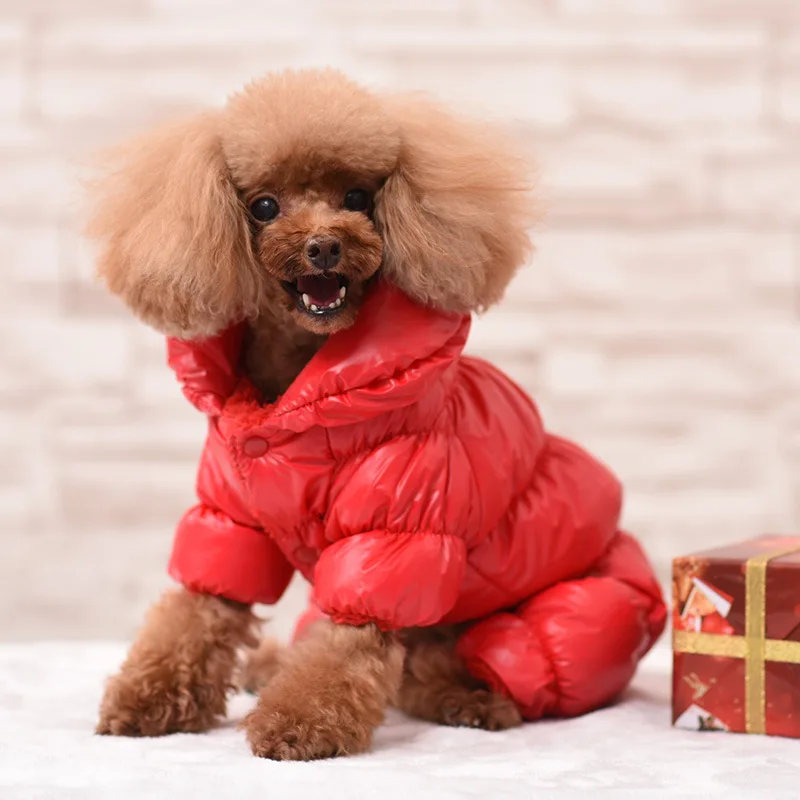High-end luxury brand Fashionable dog jacket waterproof zipper dog clothes coat