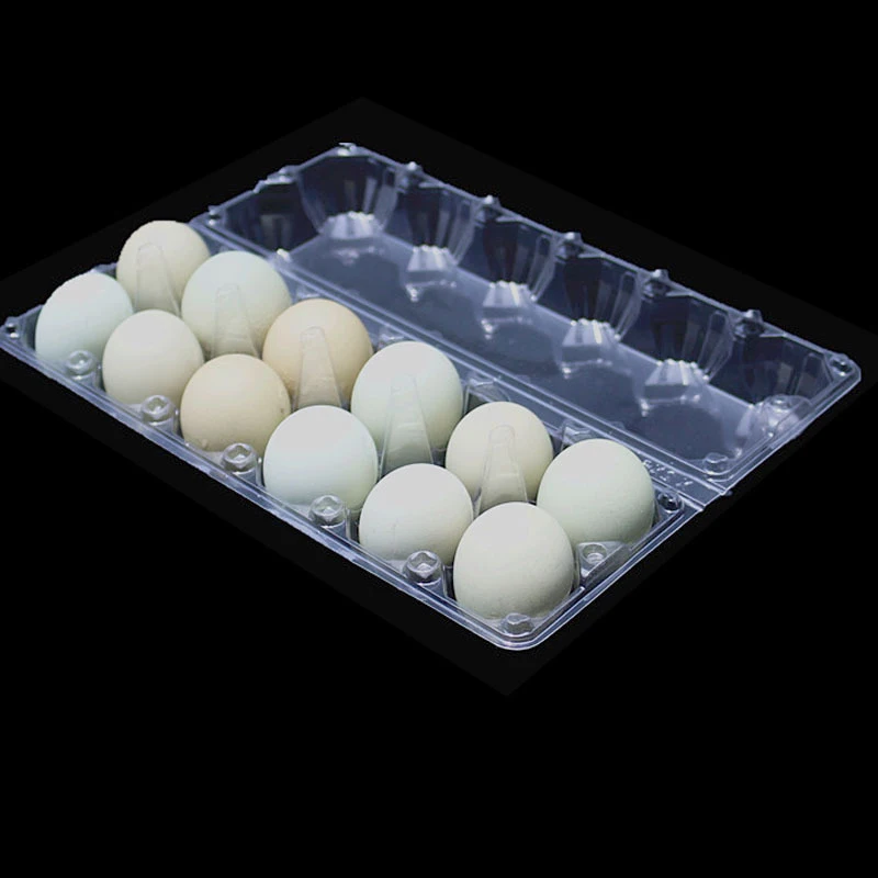 High Quality 10 Packs Clear Plastic Disposable Egg Tray,Blister Packaging Egg
