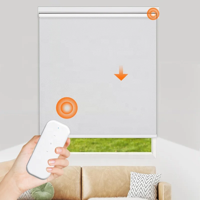 Smart control Tuya Electric Curtain Driver Remote Control Motorized Roller Blinds