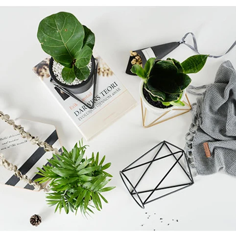 Wholesale Nordic Triangle Iron Simple Fleshy Iron Frame Tabletop Vase