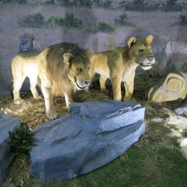 Theme Park Life Size Realistic Animatronic Animal Realistic Lion Model