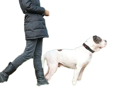 Small Medium Large Dogs Reflective Puppy Leash with Comfortable Padded Handle and Swivel Lockable Hook Leather Dog Rope