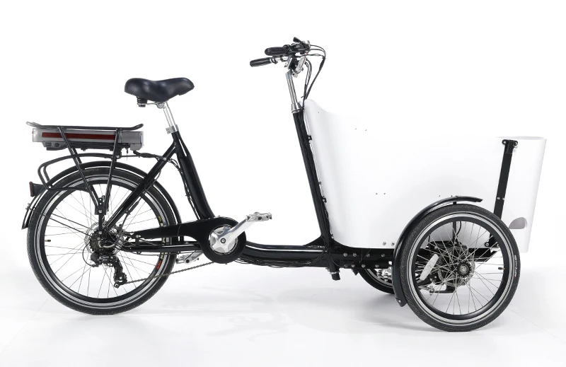 2022 New Design Velomobile Trike Electric Cargo Bike Electric Driving Type 250W Motor Three Wheel Cargo Tricycle