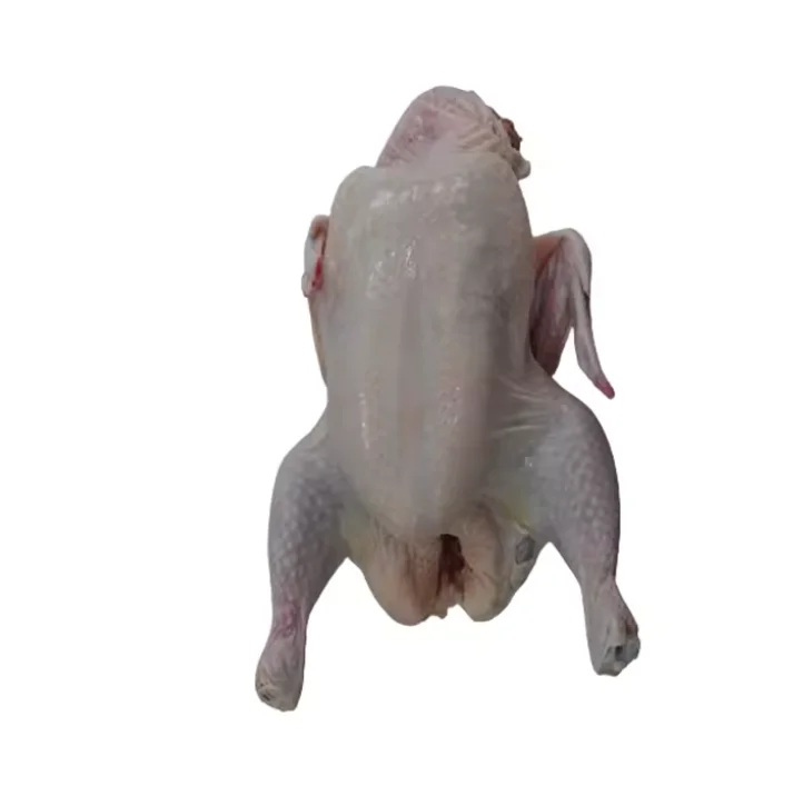 China factory price Perfect Premium Grade Frozen Whole Chicken  Quality  Frozen Whole Chicken and Parts Frozen Whole Chick