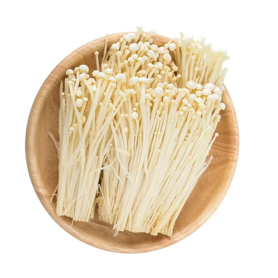 100%natural Fresh Enoki Mushroom Delicious Enoki Golden Needle Mushroom