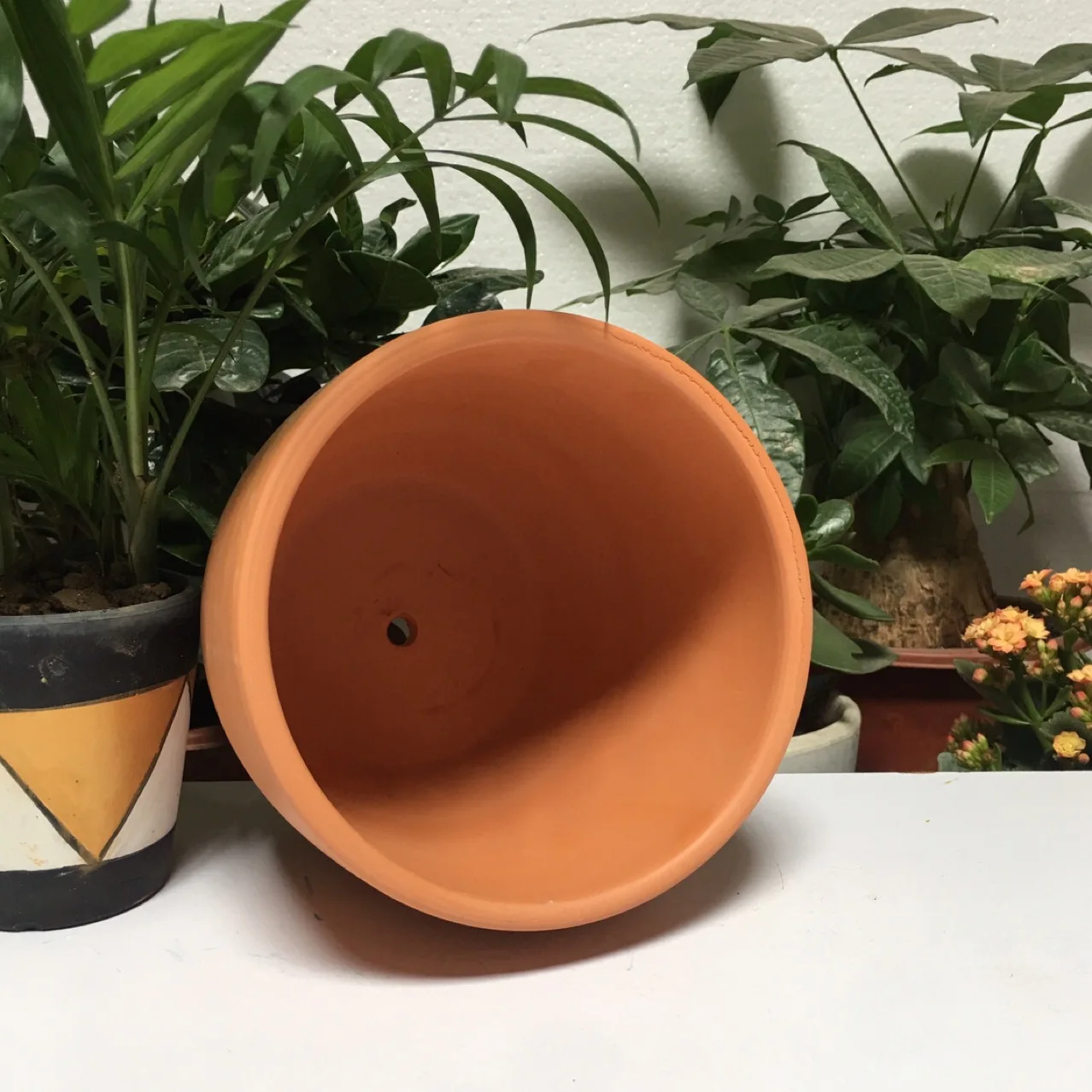 Table Top Red Earthenware Egg-shaped Succulent Terracotta Planter Garden Flower Pots for Home, Garden Ceramic CLASSIC Round Fall