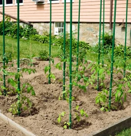 Metal PE Coated Tomato Support Garden Stakes Plastic Coated Steel Tube Plant Sticks Climbing Plants