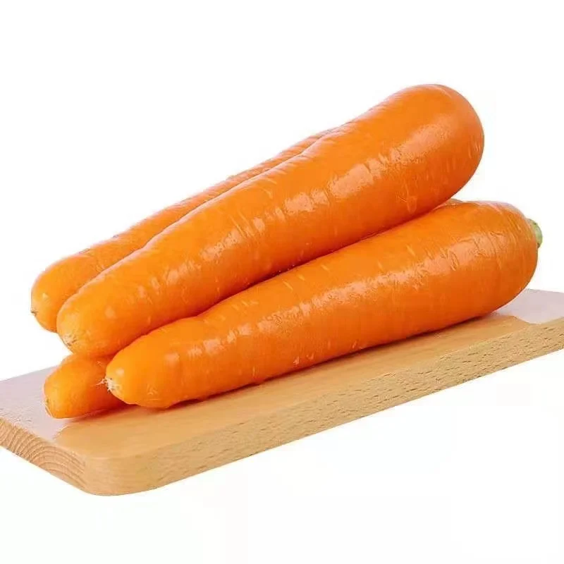Top quality seasonal vegetables fresh high-quality carrots shandong seasonal carrots