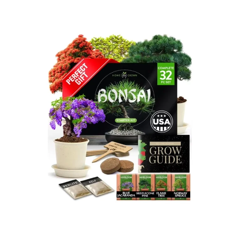 Premium 4 Bonsai Trees Starter Kit Gardening Plant Gift For Beginners & Gardeners