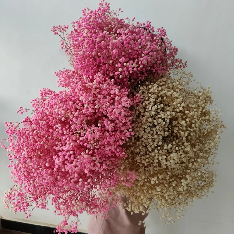 Wholesale Baby Breath Home Decorative Colorful Dried Artificial Flowers Boho Dried Flowers Bouquet Preserved Gypsophila Flower