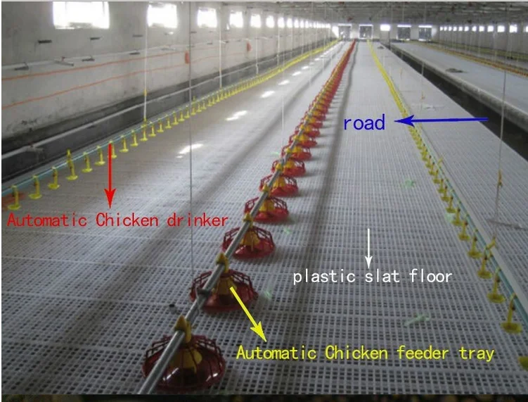 best price free sample plastic flooring for poultry chicken duck poultry slat floor