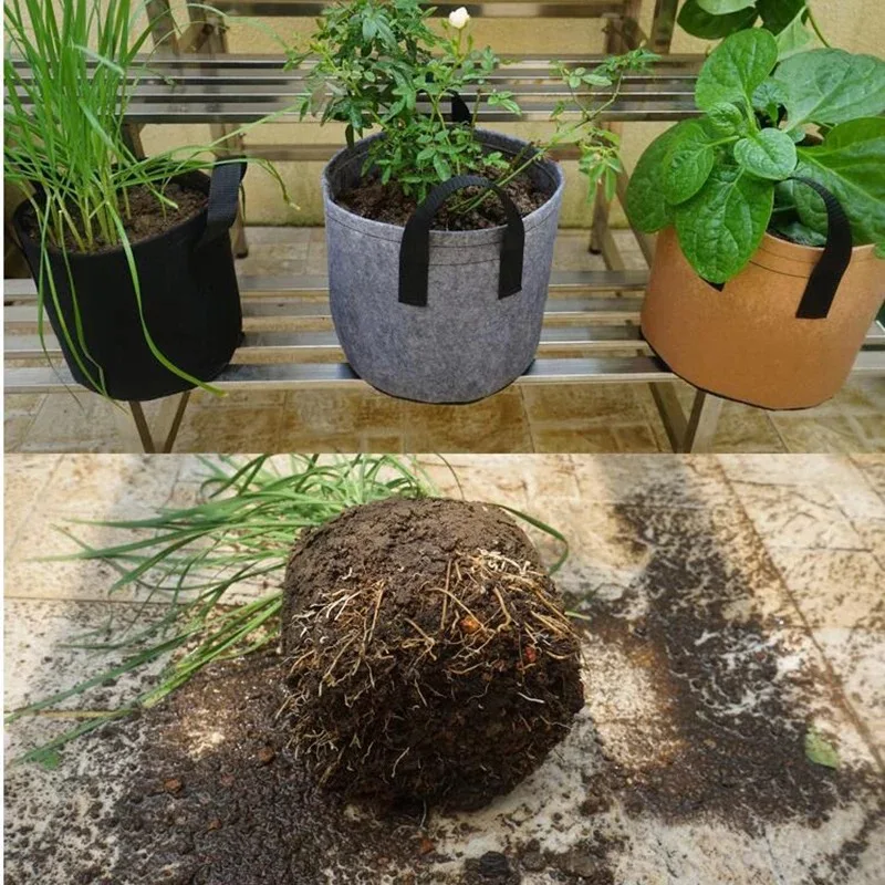 Garden Home Farms Garlic All Climate Flower Pot Nursery Pots for Floor-Standing