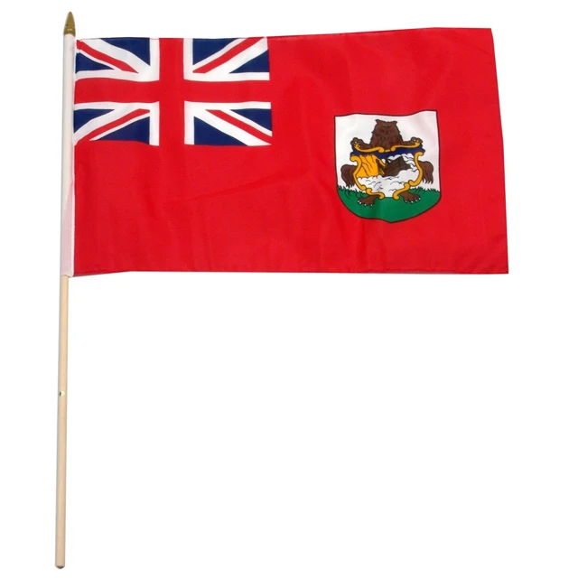 Custom printing 100D polyester Armenia country Hand wave Flag