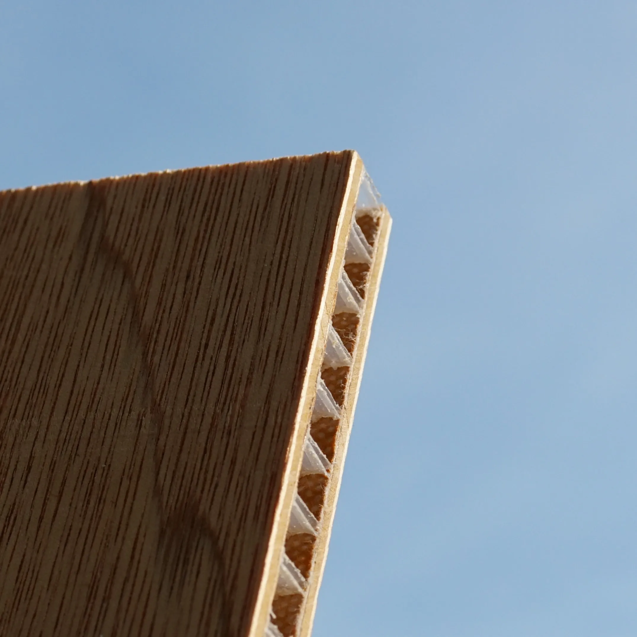 Structural PP Honeycomb Fiberglass Reinforced Plastic Laminated Floor Panel