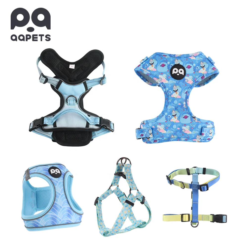 QQPETS принадлежности для домашних животных и аксессуары собак Регулируемый Логотип персонализированный без вытягивания поводок набор поводков