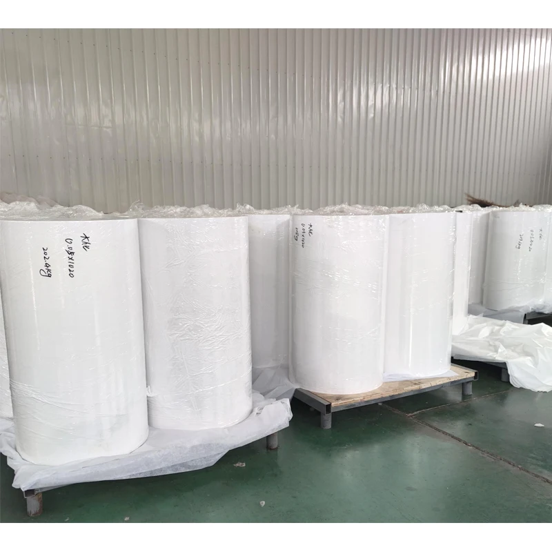 China Manufacturer Directly Non-Woven Spunbonded 100% Polypropylene Nonwoven Non Woven Fabric for Agriculture Medical and Homete