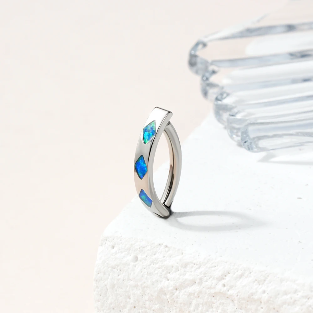 ASTM F136 Titanium CZ Cluster Hinged Segment Clicker Septum Rings Implant Titanium Nose Piercing Jewelry Labret Stud Navel Ring