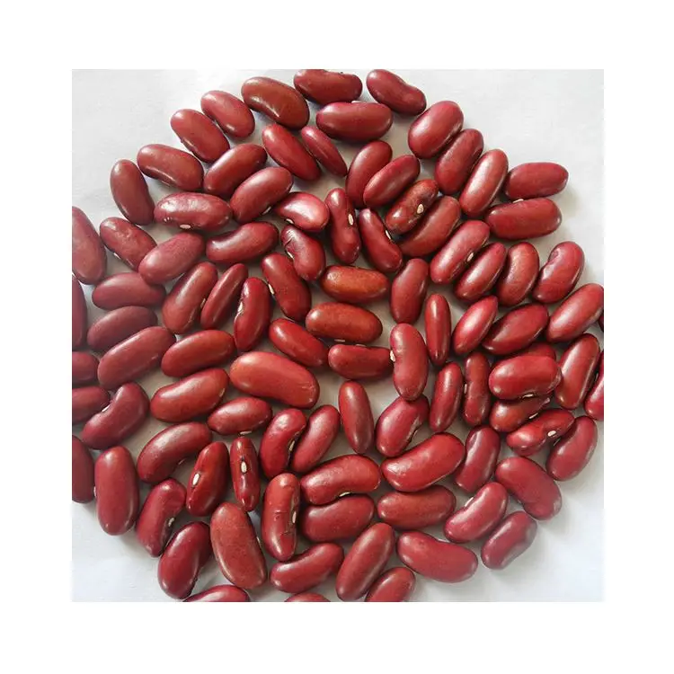 Hot Selling Agricultural Product Origin China Kidney Beans Red Bean