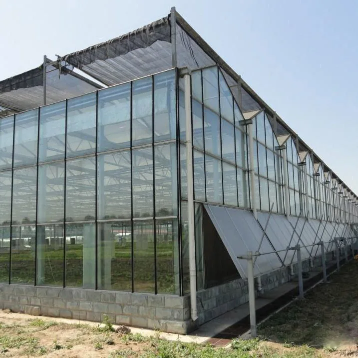 Распродажа многоразовое сельскохозяйственное оборудование для производства стеклянных теплиц Выращивание овощей большая стеклянная теплица продажи