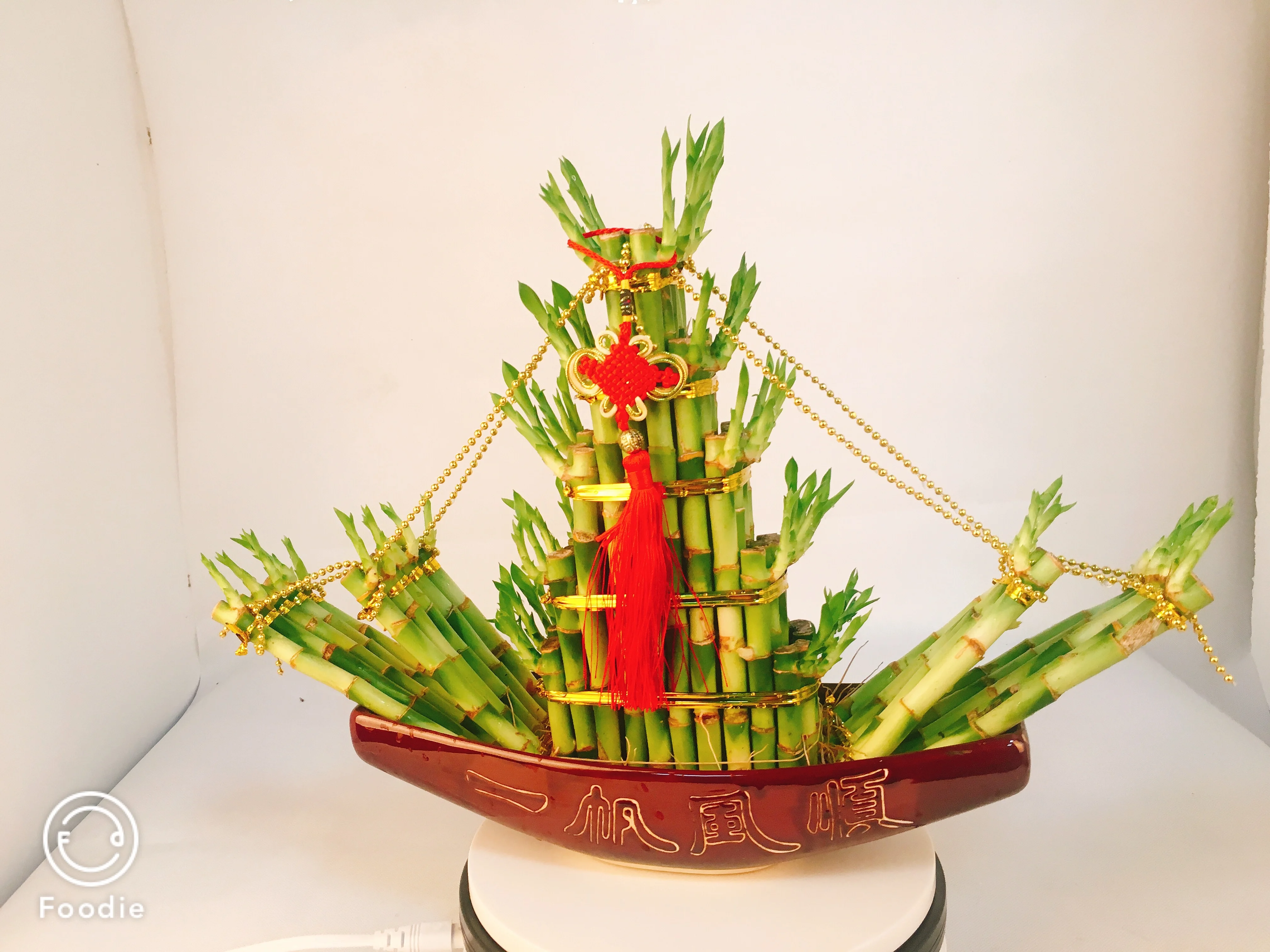 
jalor shaped boat shaped air bonsai lucky bamboo 