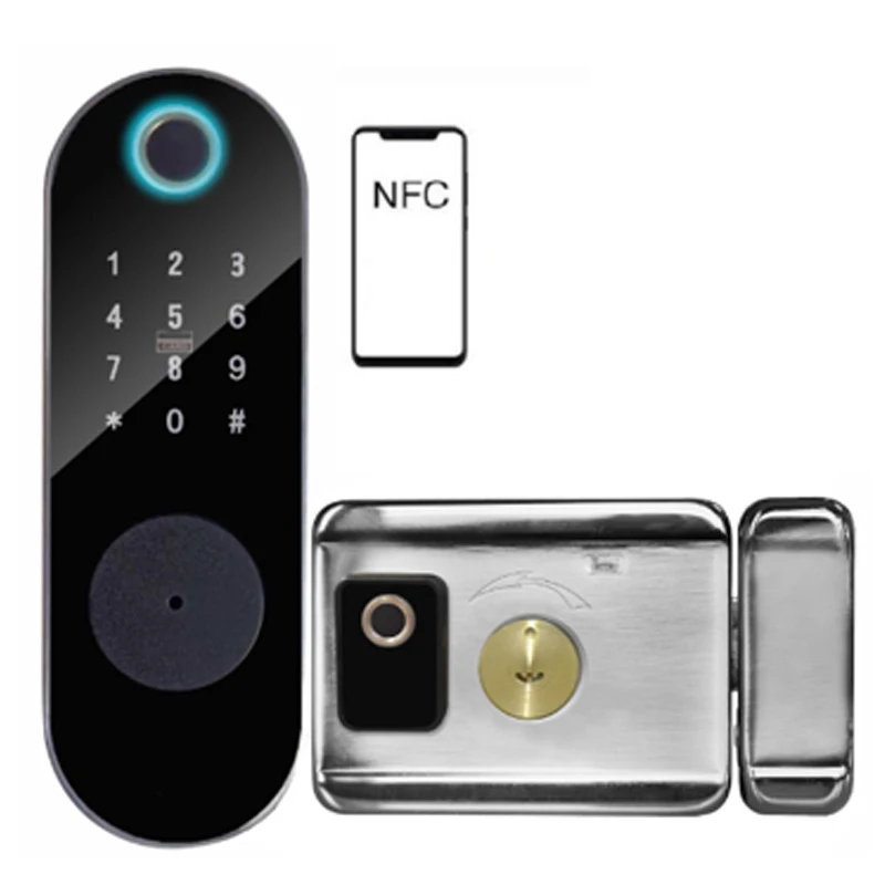 Tuya Wifi App Waterproof Smart Electric RIM Lock For Outside Door Double Fingerprint And Fingerprint For Access Control System