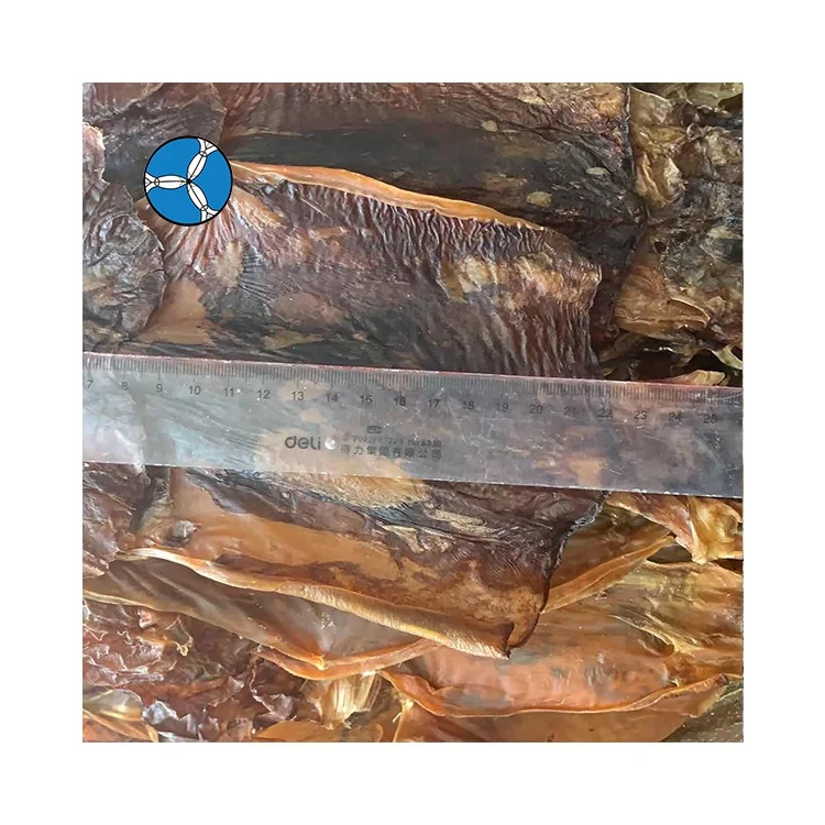 Hot Sale Sanfeng Seafood Bulk Fresh Frozen Dry Squid In China Export Dried Squid Slice Price