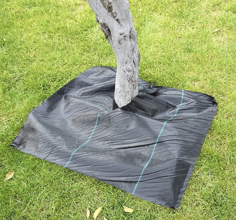 Agricultural Polypropylene Ground Cover Mesh Black For Flower Bed