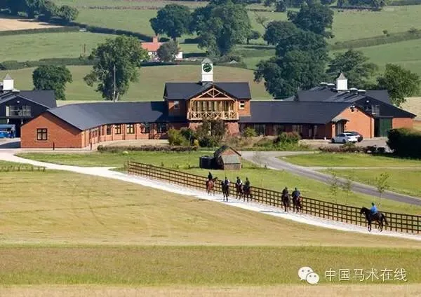 Modern Design Prefabricated Steel Structure Horse Barns and Cow Farm Buildings Horse Barns Design House