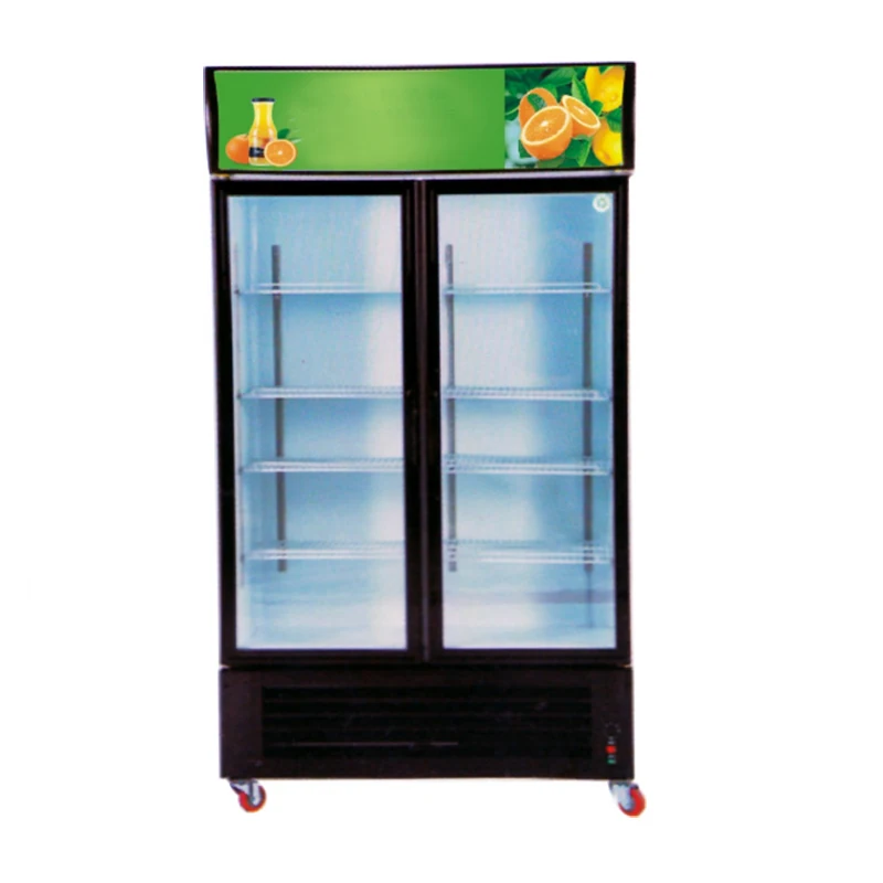 Frigidaire двухдверный холодильник Pepsi Frezzer коммерческий морозильник охладитель с воздушным охлаждением