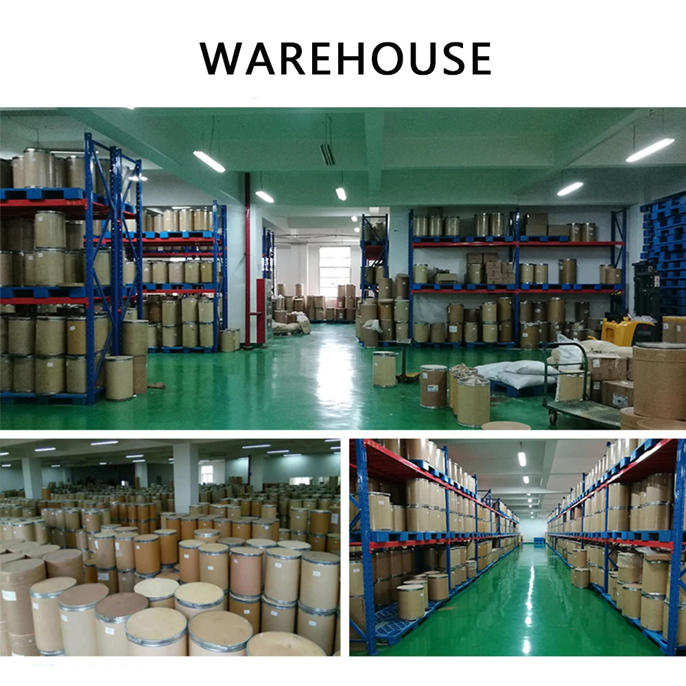 Top Quality Food Supplement Probiotics Lactobacillus Rhamnosus