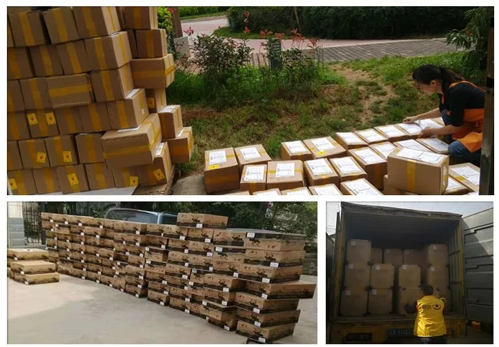 
China factory wholesale 5-6cm rosas preservadas al por mayor ecuador 