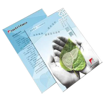 Specialized Suppliers a3 Flyer Printing Paper Leaflets Print Advertising Flyers