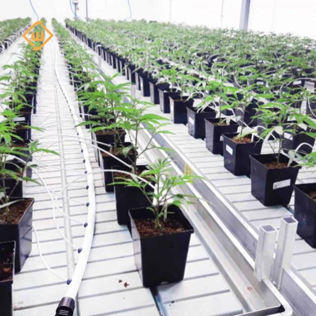 White 4x8 ABS Plastic Hydroponic Fodder Flood Grow Trays for  commercial greenhouse benches