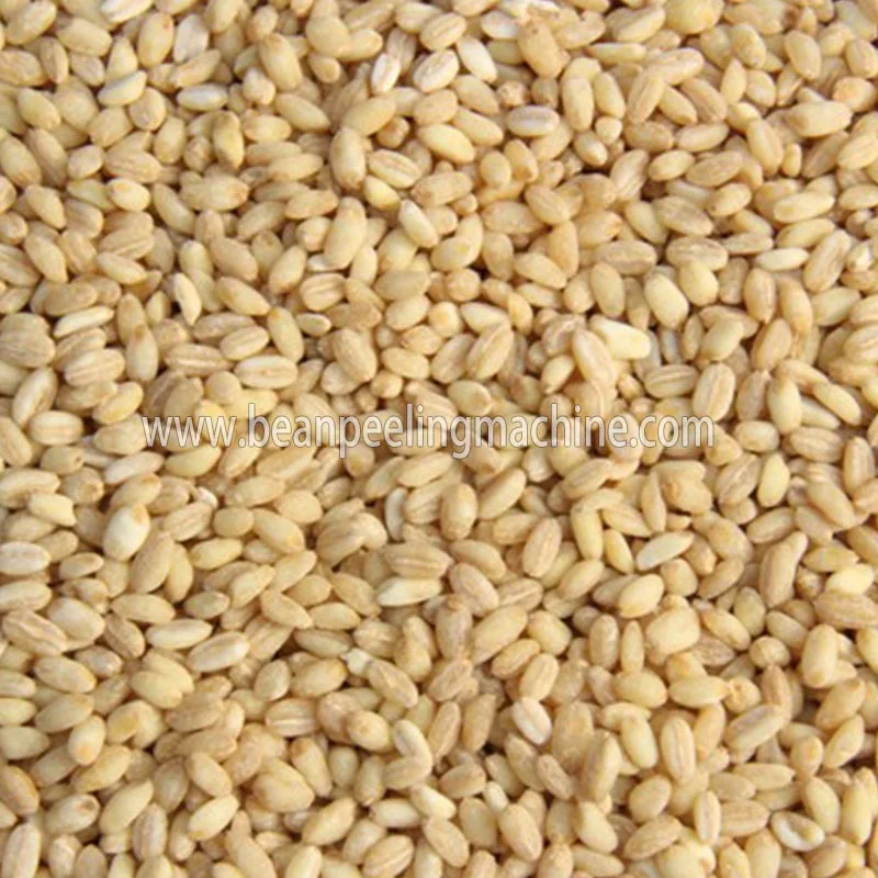 China made Corn peeling machine/barley peeling machine/Black eye bean dehuller