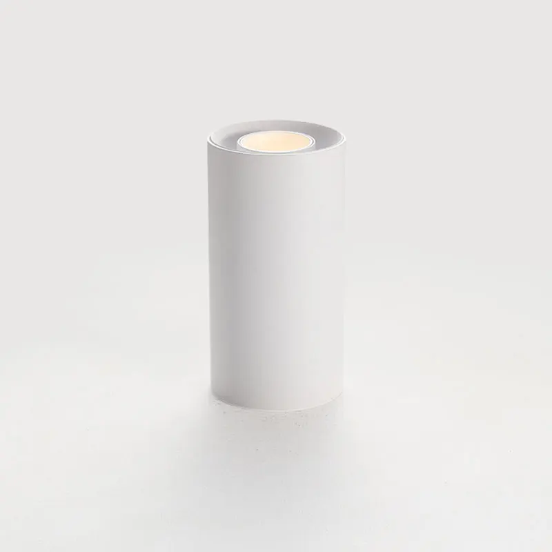 Modern Design Home Decoration Lights Ceiling Mounted Spotlight LED Surface Mounted Downlight 10W LED Lights