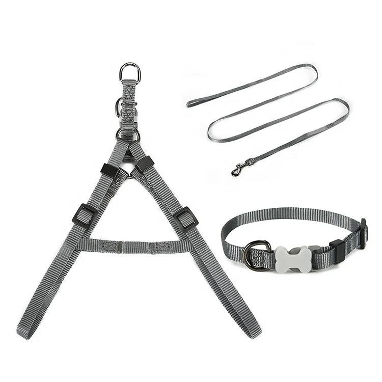 Tiny Pet Series Pet supplies dog leash set  dog collar harness leash whole set