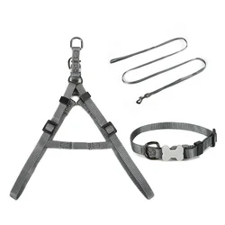 Tiny Pet Series Pet supplies dog leash set  dog collar harness leash whole set