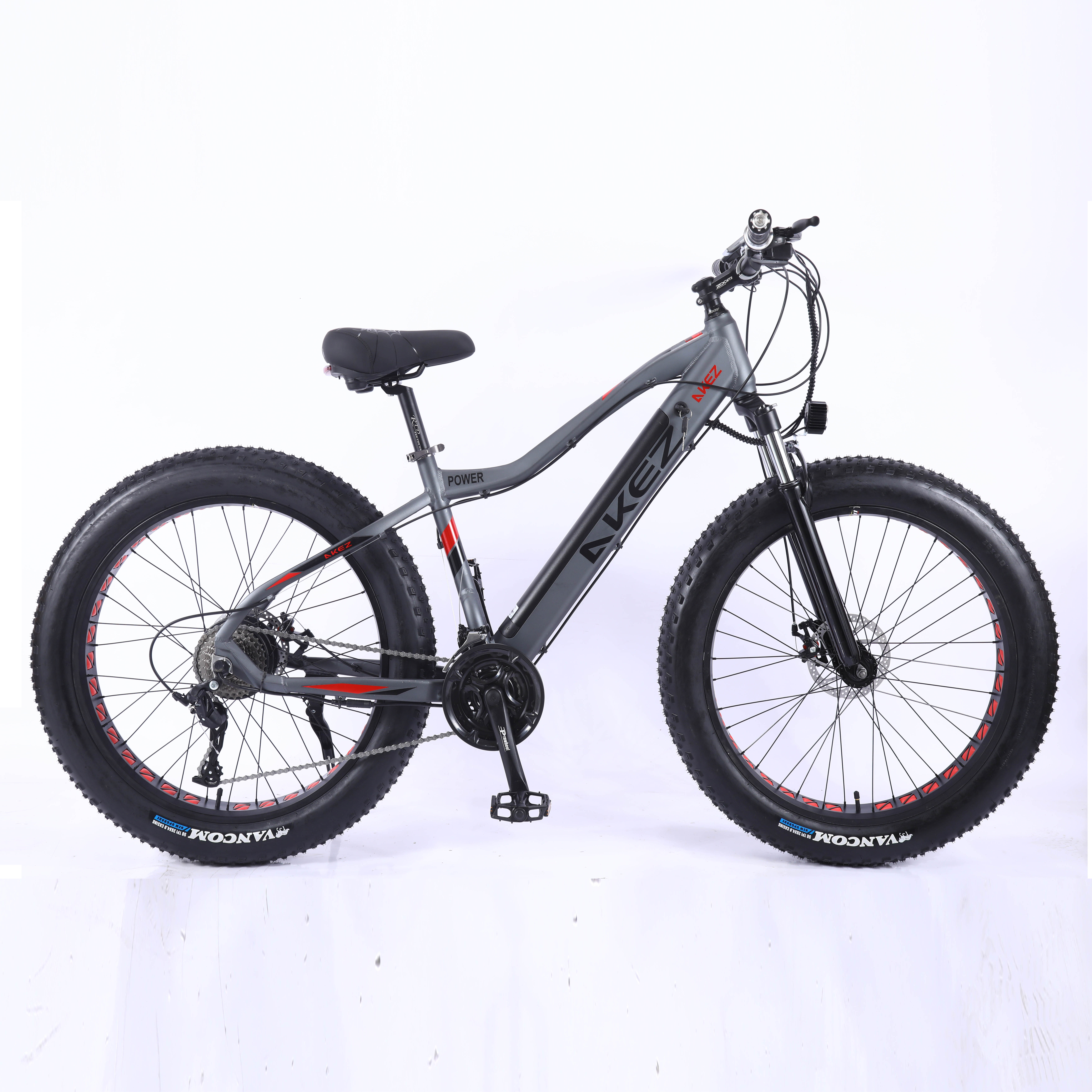  Ebike 1000 Вт на заказ ebike Скрытая батарея толстый Электрический велосипед 750 пляж горный жир