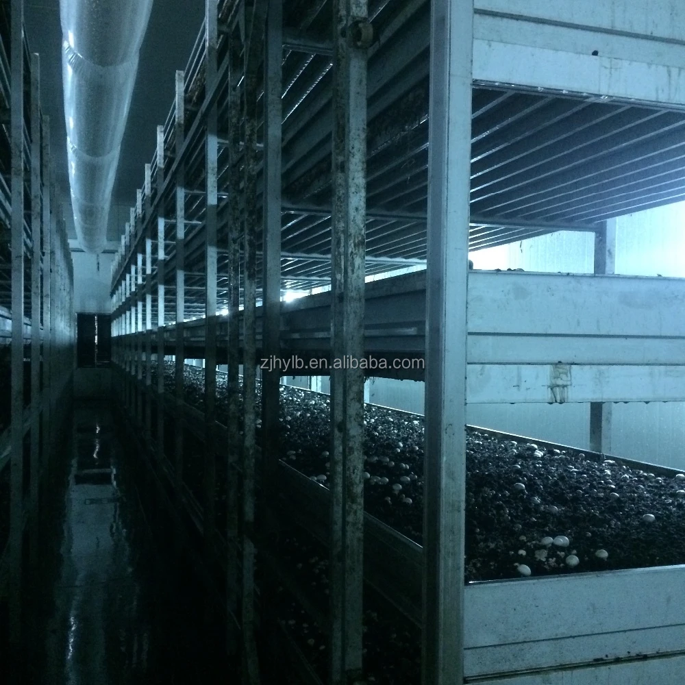 Mushroom Growing NETS/nursery bed Nets for Mushroom greenhouse modern farm