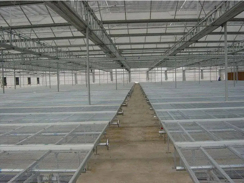 
high end flower rose/tulip growing greenhouse with exact climate control 