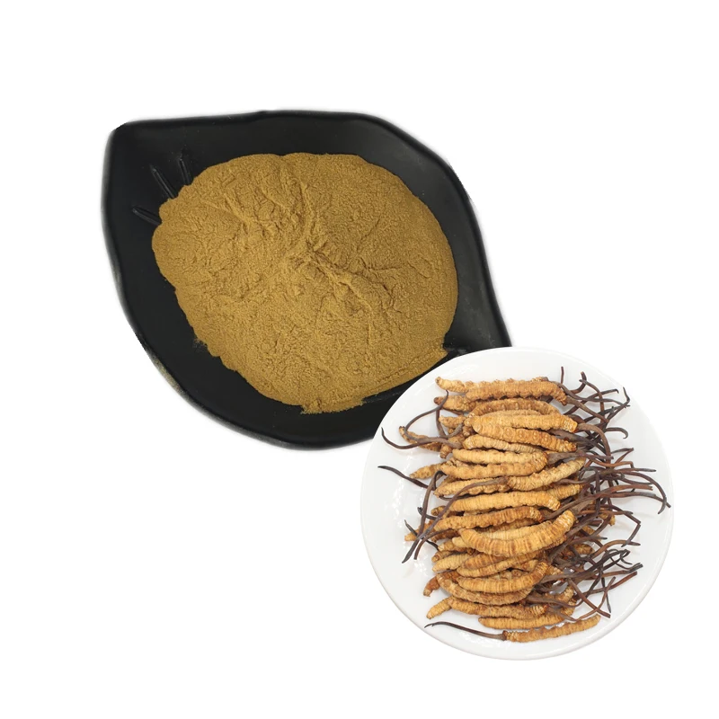 Organic 10:1 Mushroom Ground Powder Health Cordycepin 1% Cordyceps Sinensis Extract Cordyceps Militaris Powder 1 Kg