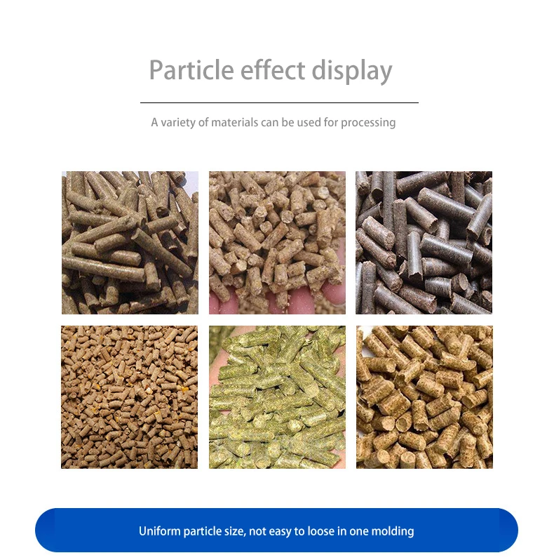 Feed Pelletizer 2mm 3mm 4mm 6mm 8mm Fish Chicken Food Pellet Machine Animal Pellet Mill