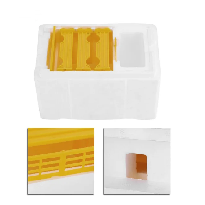 Plastic box for bee Honey Queen Bee Hive Nuc Box Mini bee Mating Boxes